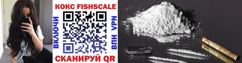 закладки  Домодедово  COCAIN Fish Scale 