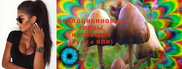 мяу мяу кристалл Строитель