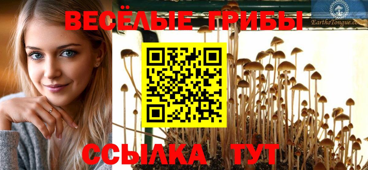 Псилоцибиновые грибы MAGIC MUSHROOMS Домодедово