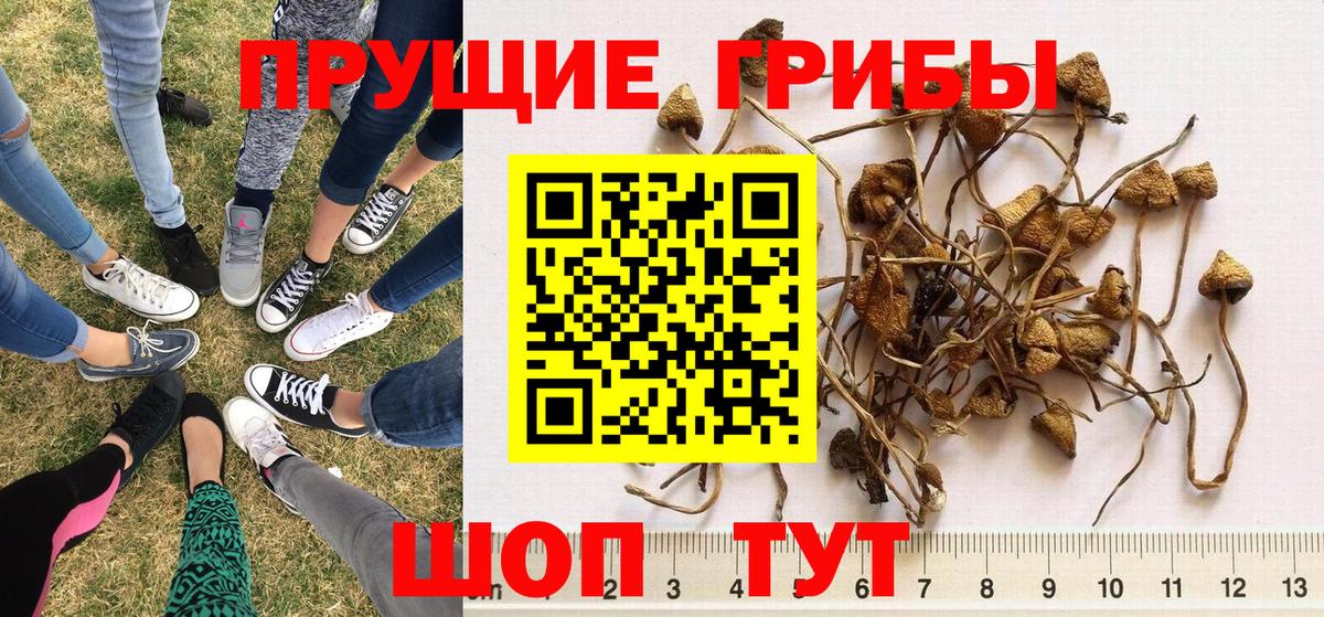 Псилоцибиновые грибы мухоморы  Домодедово 